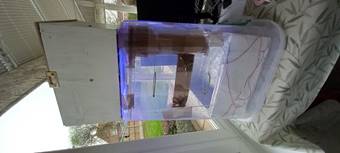 299 Green Cube
